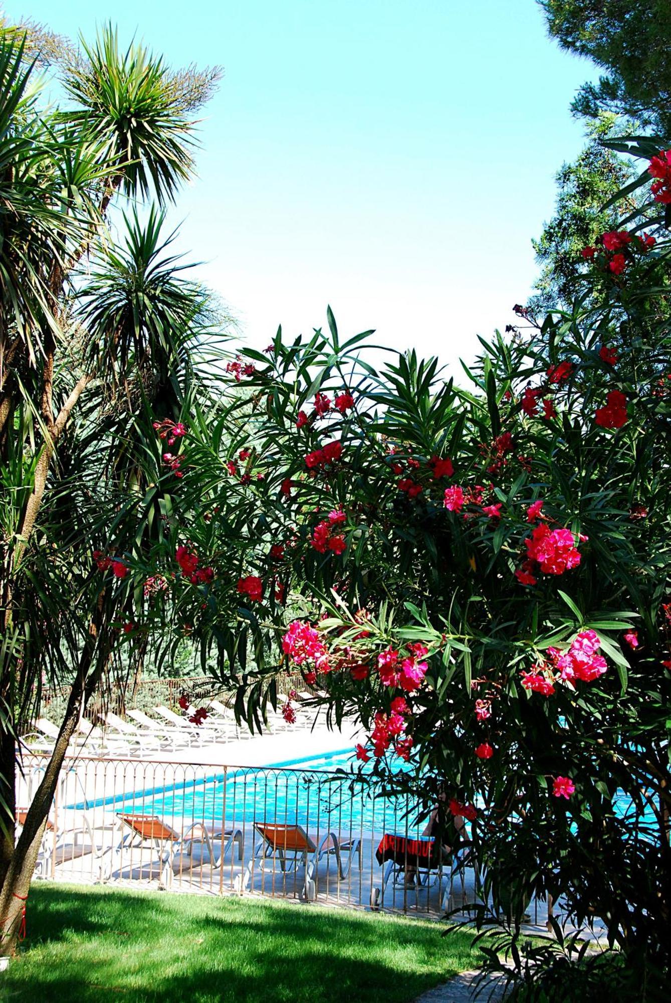 טרסקון Hotel Les Mazets Des Roches מראה חיצוני תמונה
